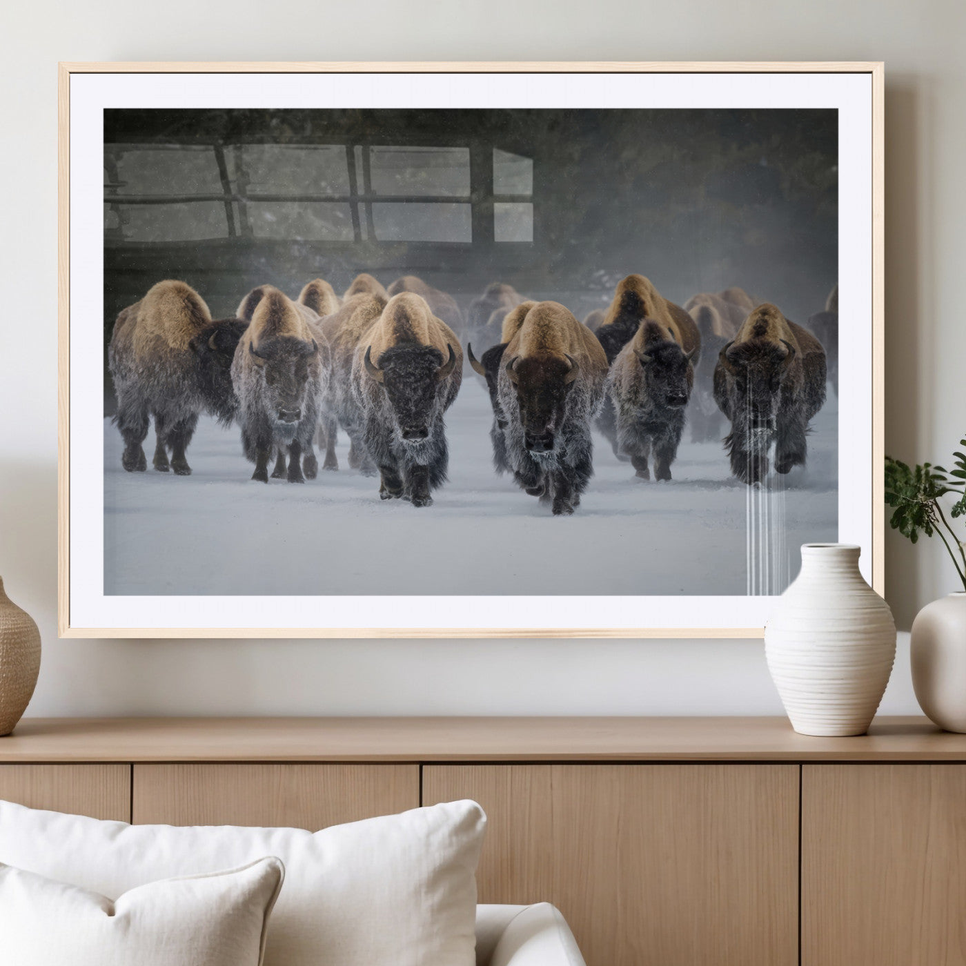 A herd of American bisons walking through deep snow in a forest, evoking a powerful rustic wilderness mood for western-style interiors.