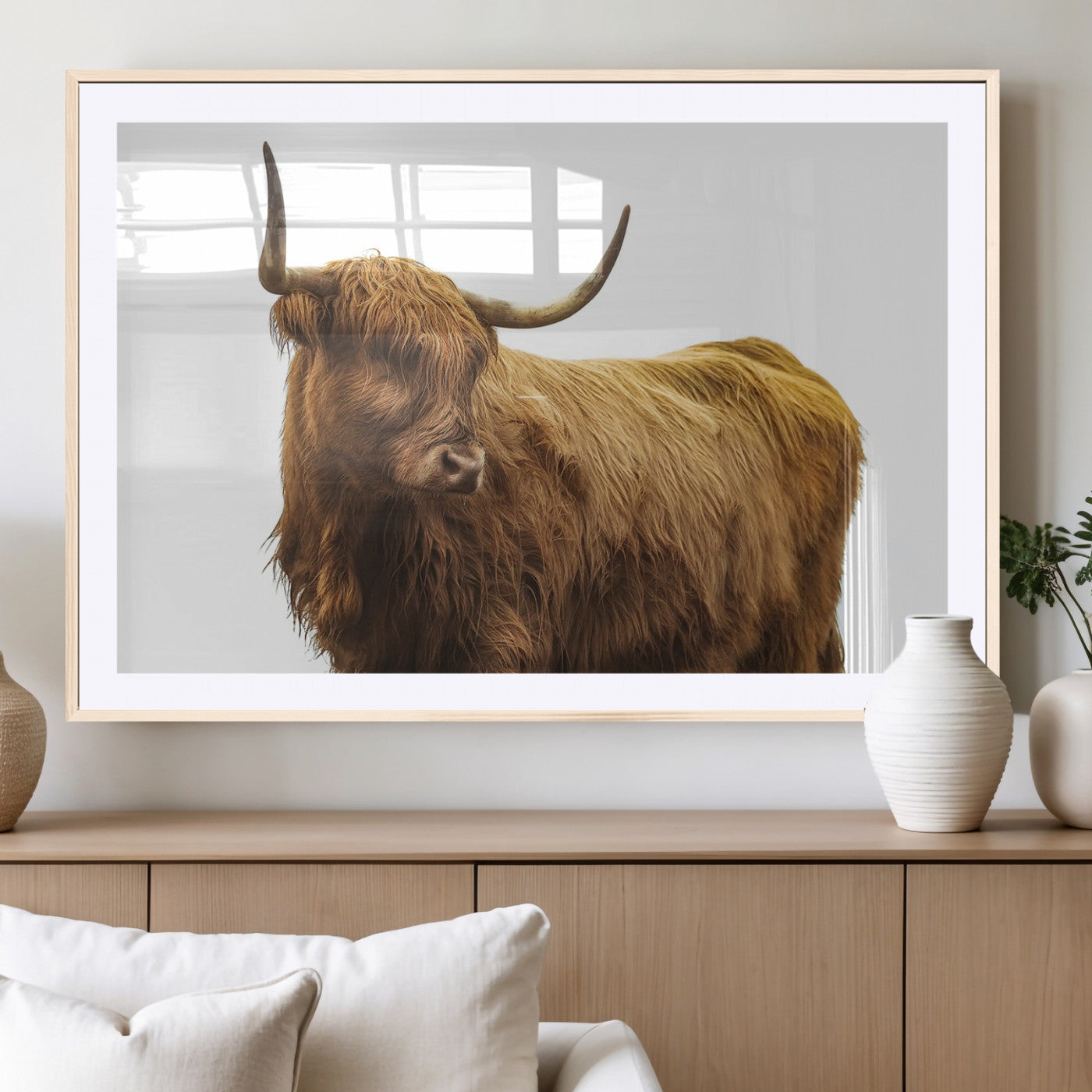 A highland cow with long horns and shaggy fur standing calmly, isolated on white background, ideal for rustic or farmhouse wall decor.