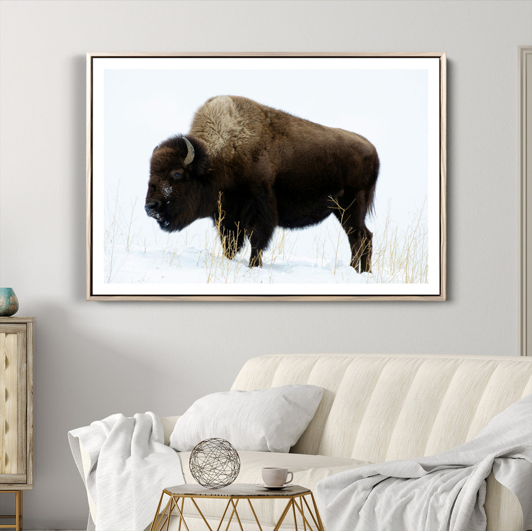 Bison Photography Wall Art Canvas Print, Framed Western Wildlife Art Picture Print, Buffalo On Snow Perfect Western Decor Artwork