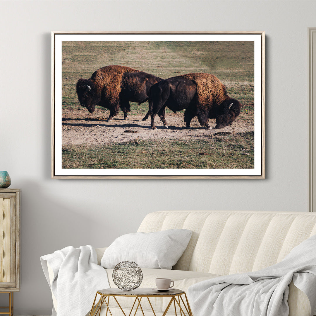 Bison Photography Wall Art Canvas Print, Framed Western Wildlife Art Picture Print, Modern Ranch Perfect Western Rustic Decor Artwork