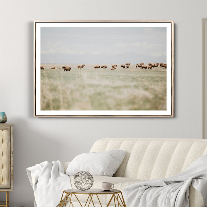 Bison Herd Wall Art Canvas Print, Framed Western Art Picture Print, Bison Perfect Ranch Decor Artwork