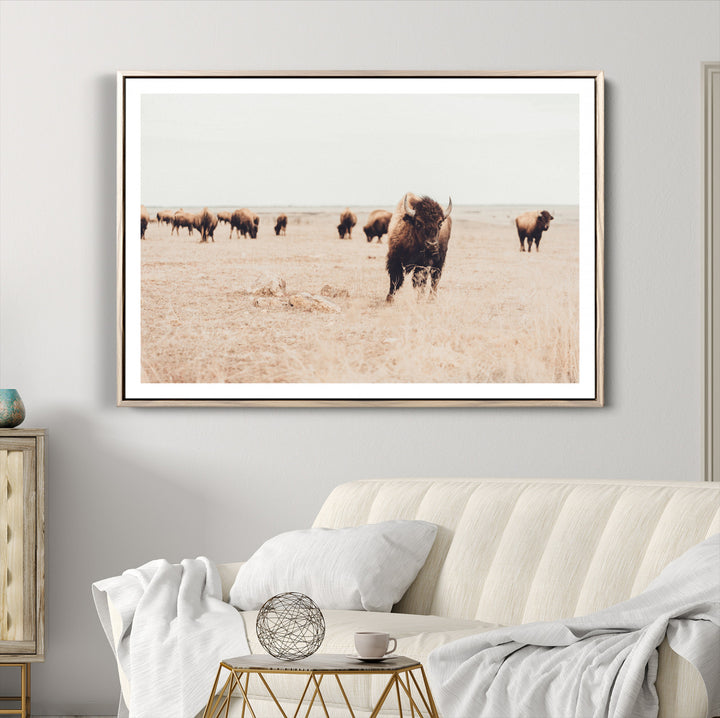 Bison Herd Wall Art Canvas Print, Framed Western Art Picture Print, Prairie Serenity Perfect Ranch Decor Artwork