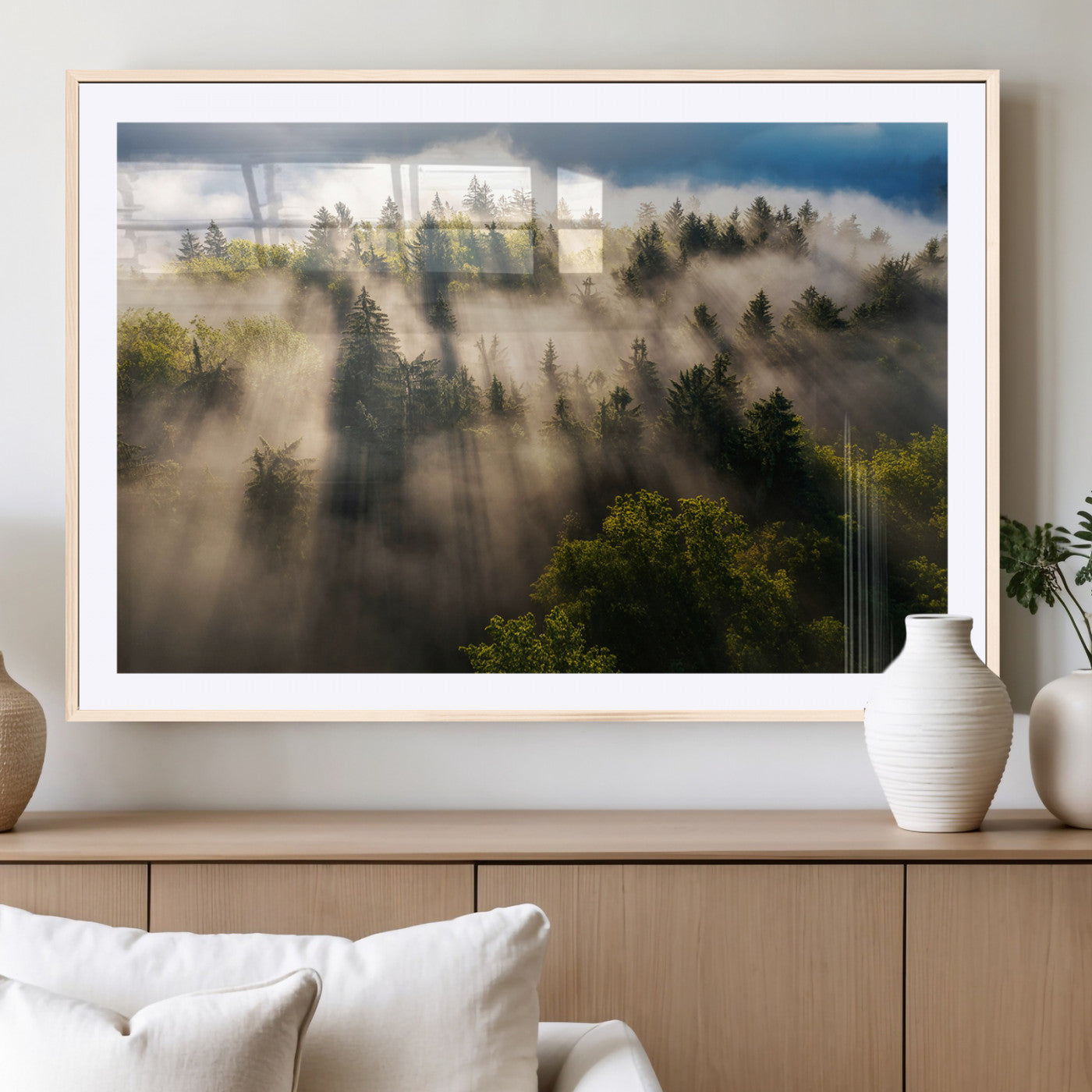Sunlight streaming through misty pine trees in a lush green forest, creating a serene and atmospheric landscape, perfect for nature-inspired decor.
