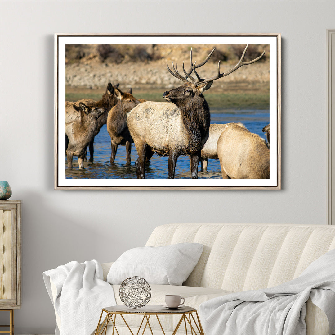 Wild Elk Photography Wall Art Canvas Print, Framed Neutral Wildlife Scene Art Picture Print, Rustic Animal Print Perfect Rustic Farmhouse