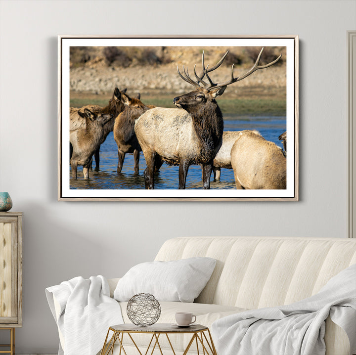 Wild Elk Photography Wall Art Canvas Print, Framed Neutral Wildlife Scene Art Picture Print, Rustic Animal Print Perfect Rustic Farmhouse