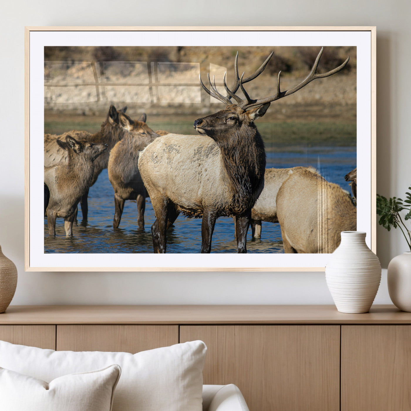 Group of elk standing in shallow water with dry rocky terrain in the background, showcasing wildlife in a natural setting for rustic decor.
