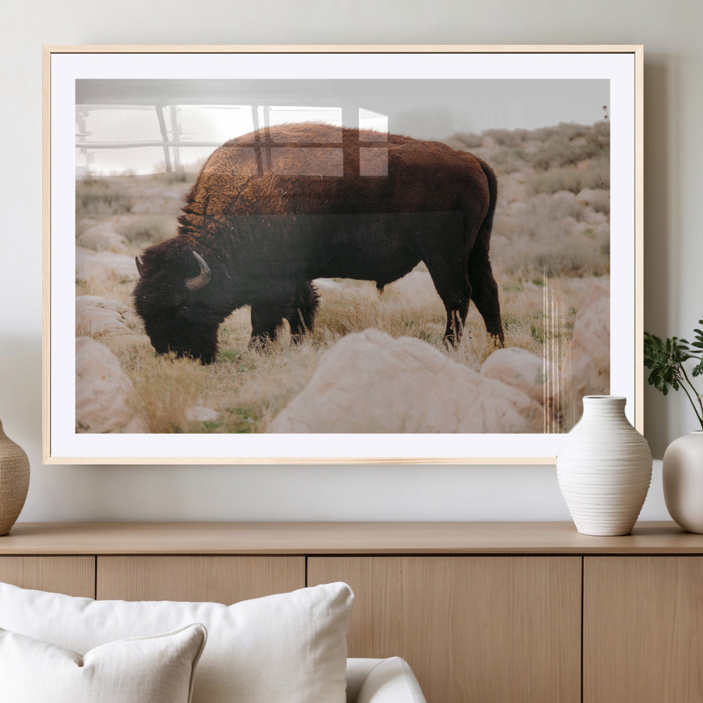 A solitary bison grazing in a rugged prairie with earthy tones and scattered rocks, capturing the essence of the American West for rustic decor.