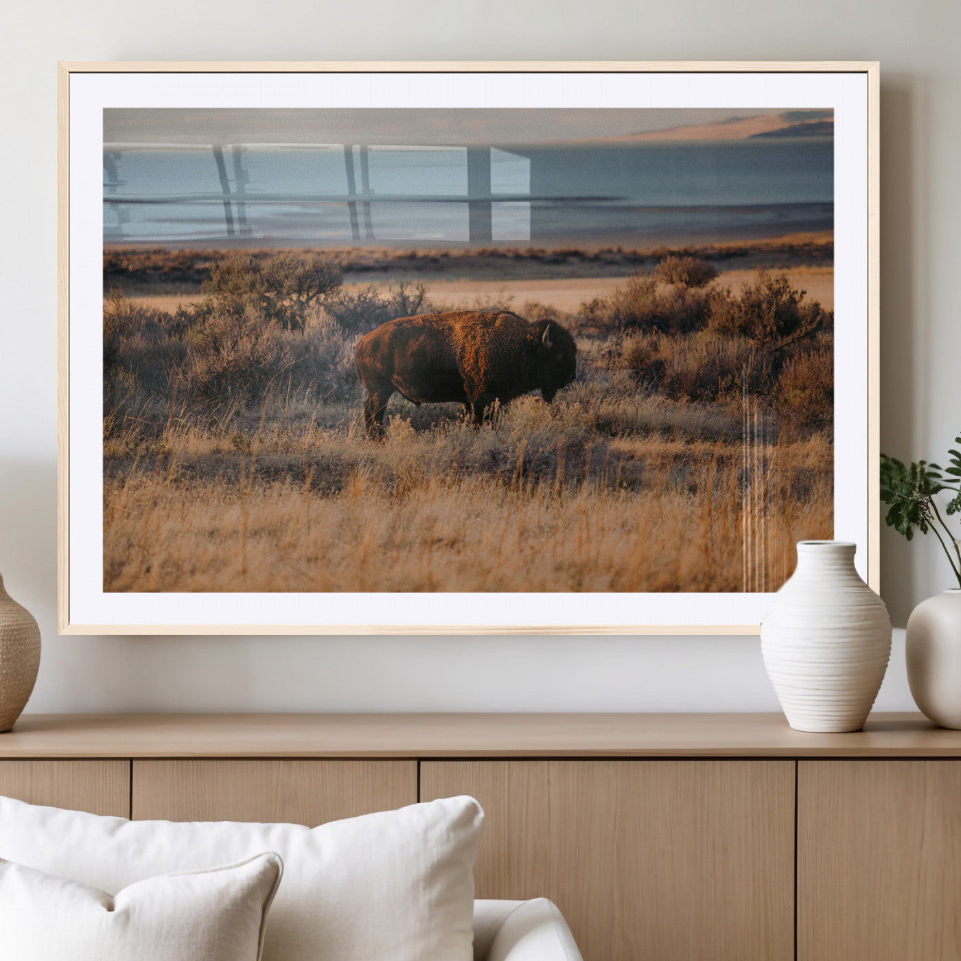 A lone bison grazing in golden prairie grass at sunset, with warm earthy tones and a distant lake view, perfect for rustic and western decor.