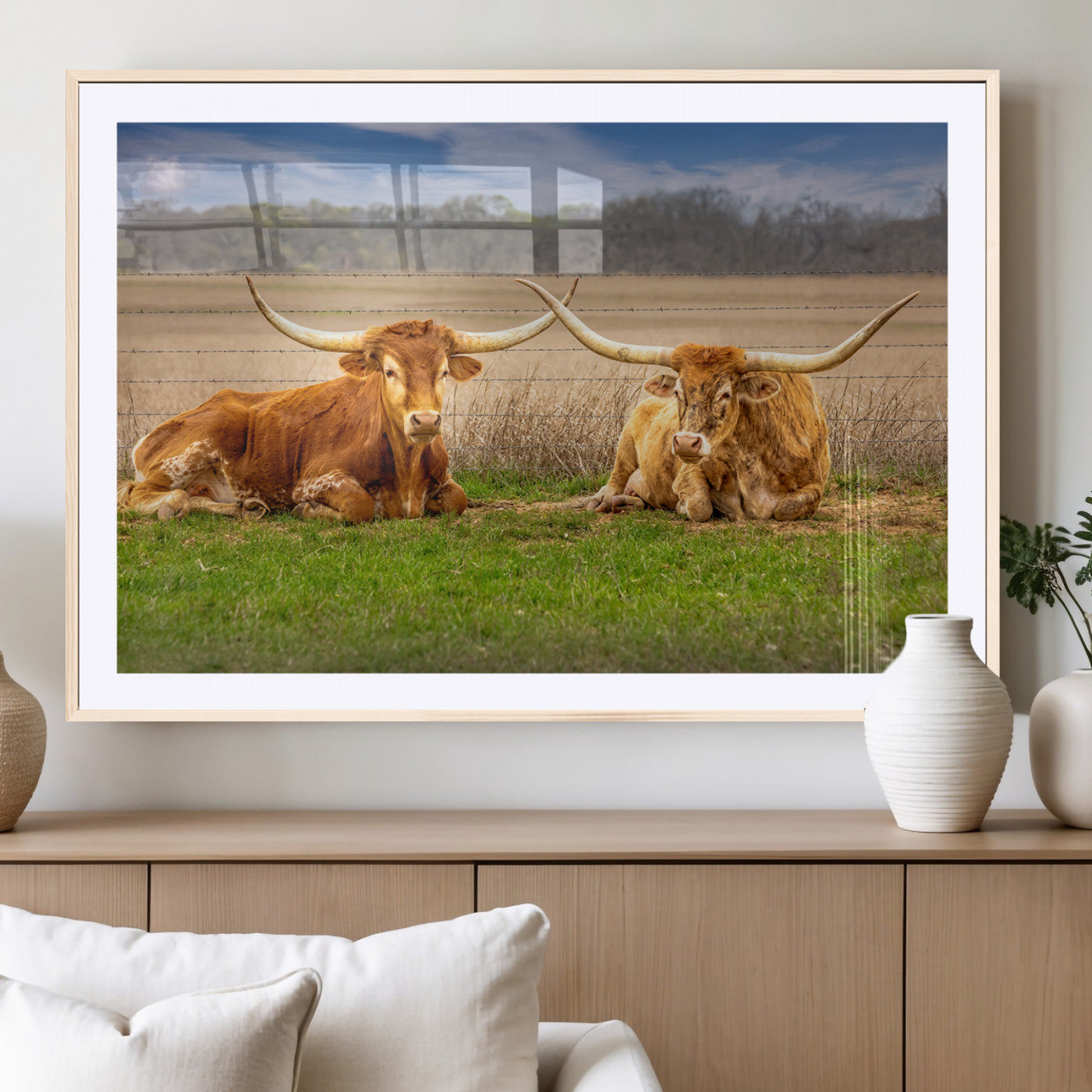 Two longhorn cattle resting on green grass in a rural field with a barbed wire fence and blurred trees in the background.
