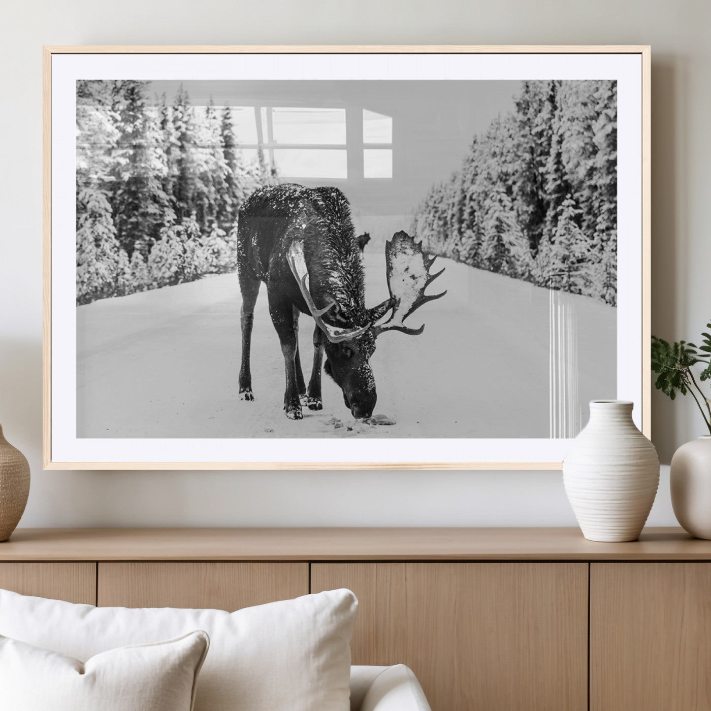 A majestic moose grazing in the snow-covered wilderness, surrounded by snow-covered trees, creating a peaceful winter scene.