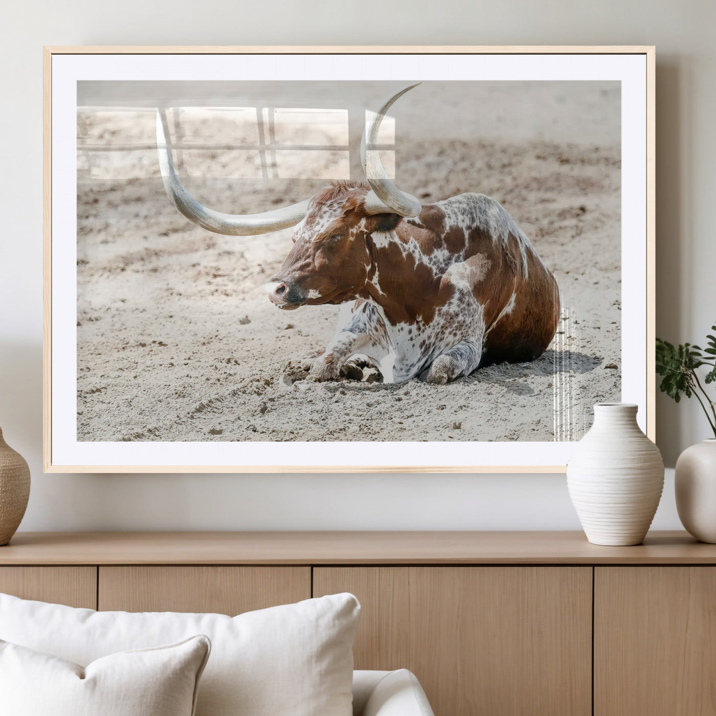 MGC-FP-36x24 - Majestic Longhorn Resting on Sunlit Desert Ground – Striking Western-Themed Wall Art Canvas Print
