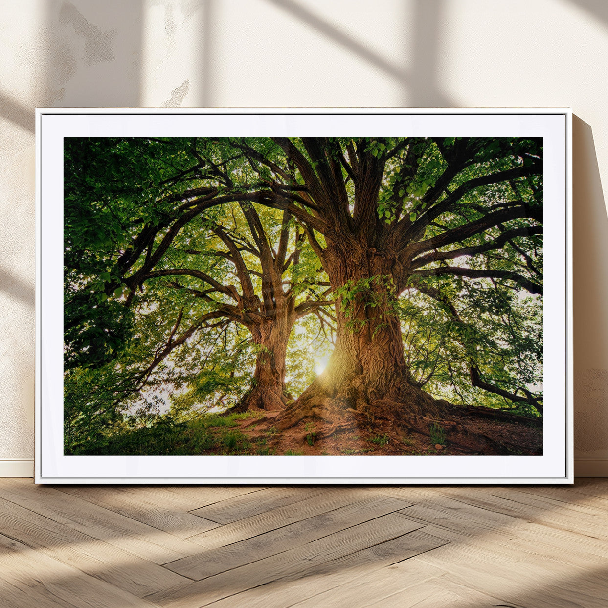 MGC-FP-36x24 - Majestic Ancient Tree Wall Art, NatureCanvas Print, Woodland Art, Tree of Life Artwork, Sunlit