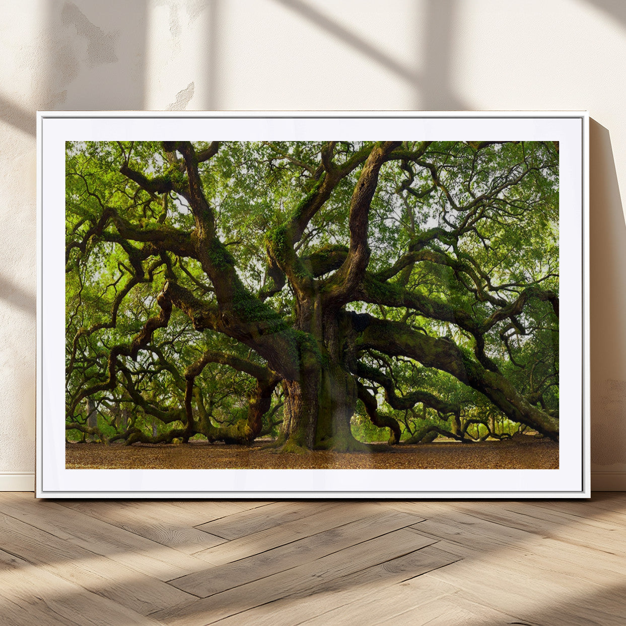MGC-FP-36x24 - Angel Oak Tree Wall Art Canvas Print | Forest Tree Nature Photography Print on Canvas | Large