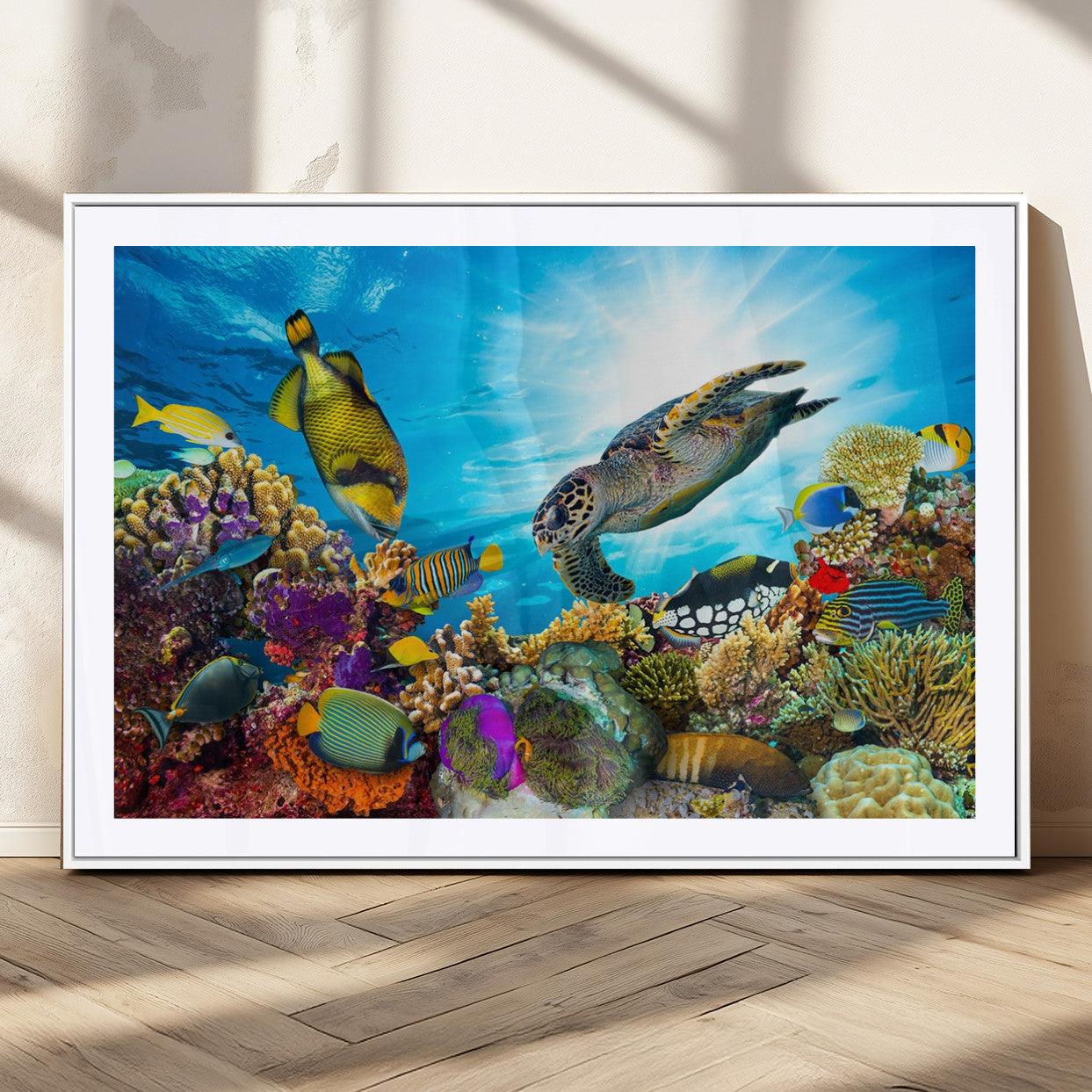 MGC-FP-36x24 - Aquatic Life Sea Turtles Fish Wall Art Canvas Print