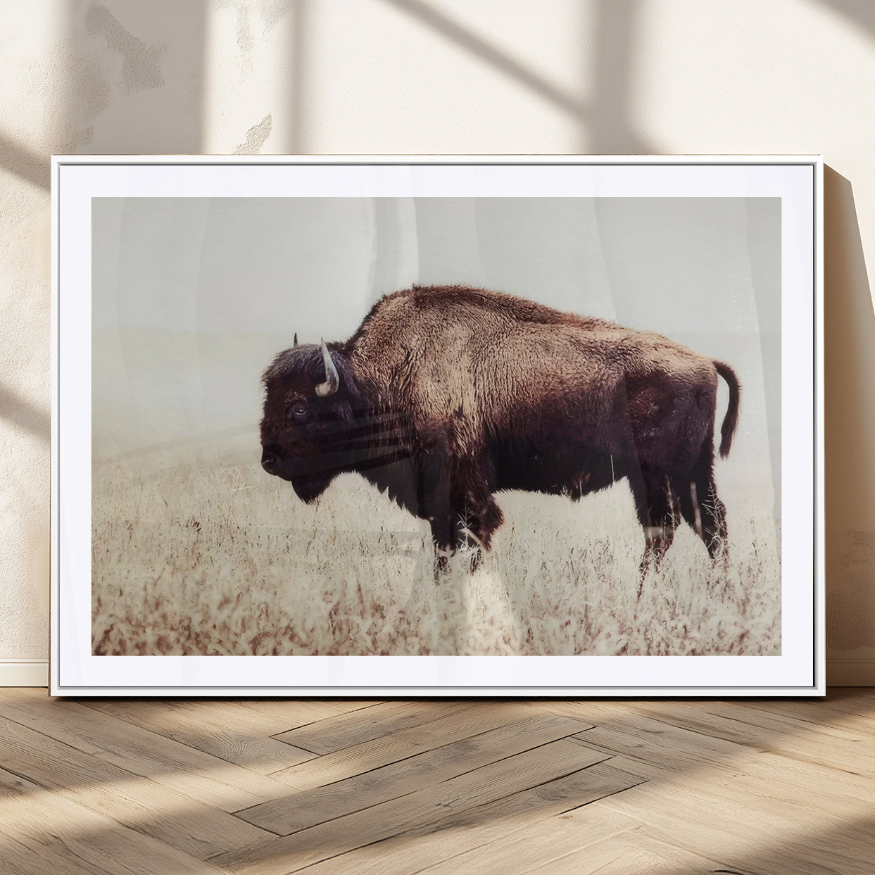 MGC-FP-36x24 - Bison in Field Wall Art Canvas Print For Farmhouse Barn Decor