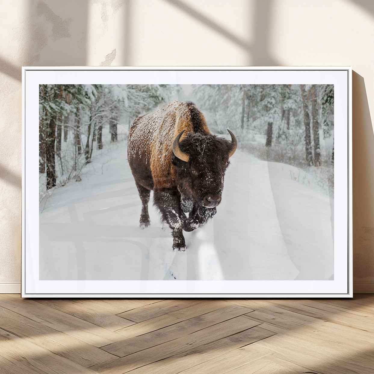 10109-MGC-FP-36x24_White-Bison Wall Art Canvas Print For Farmhouse, Animal Canvas Print, Wild Animal Wall Art