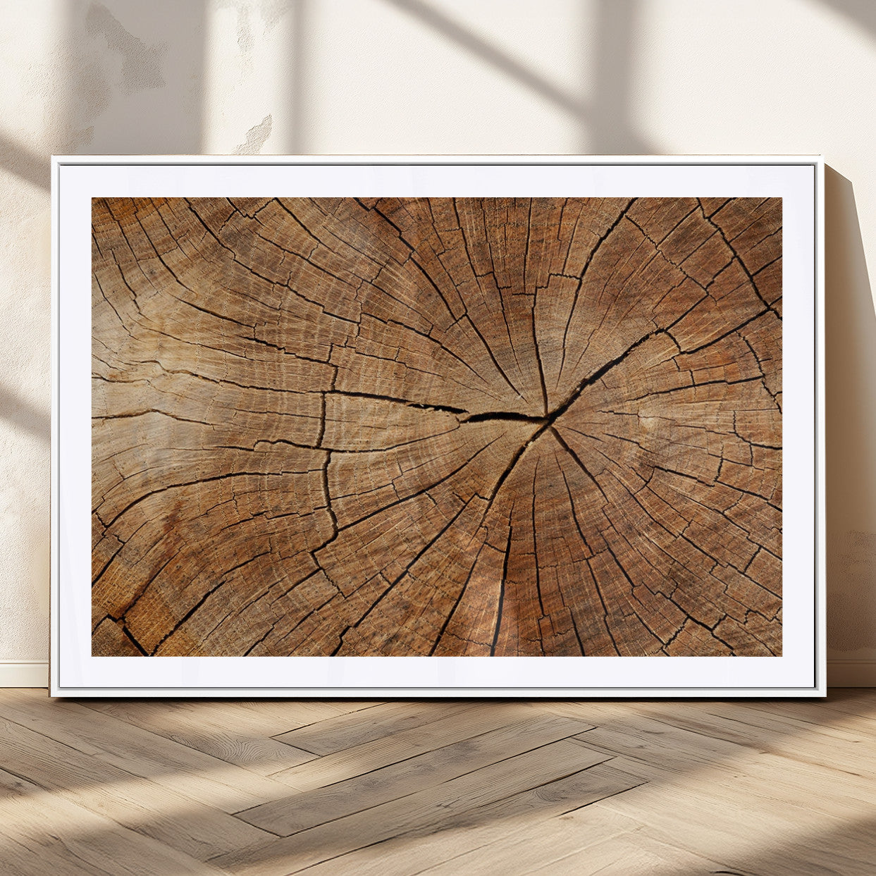 MGC-FP-36x24 - Tree Ring Canvas Art, Rustic Wood Grain Wall Art, Tree Slice Decor for Modern Homes, Giclee