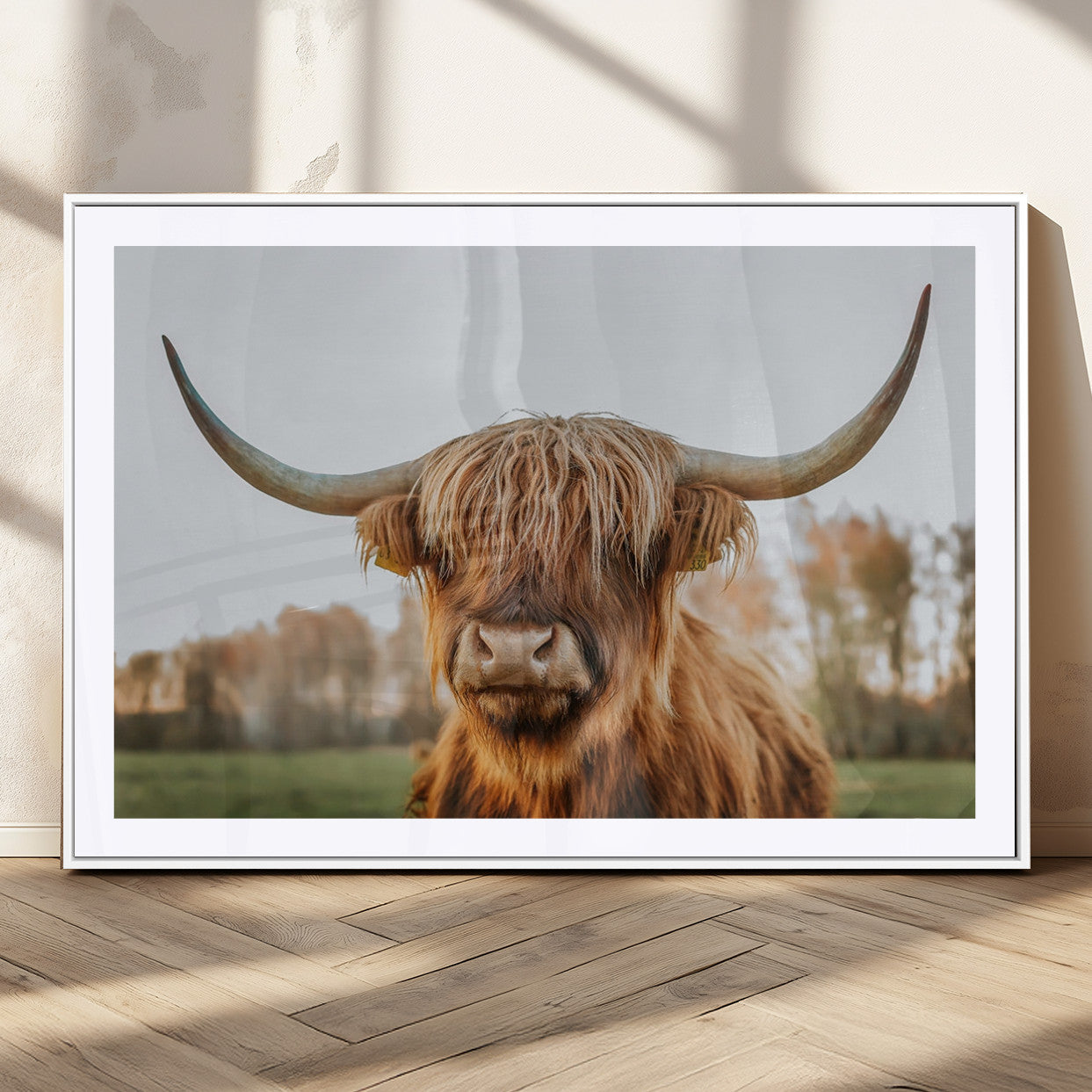 MGC-FP-36x24 - Highland Cow Animal Scottish Cattle Art Print Farmhouse Wall Art Canvas Print