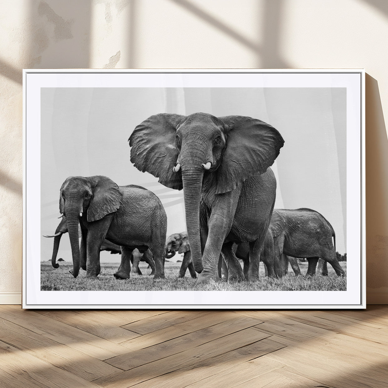 91685-MGC-FP-36x24_White-Black White Elephant Family Wall Art Canvas Print