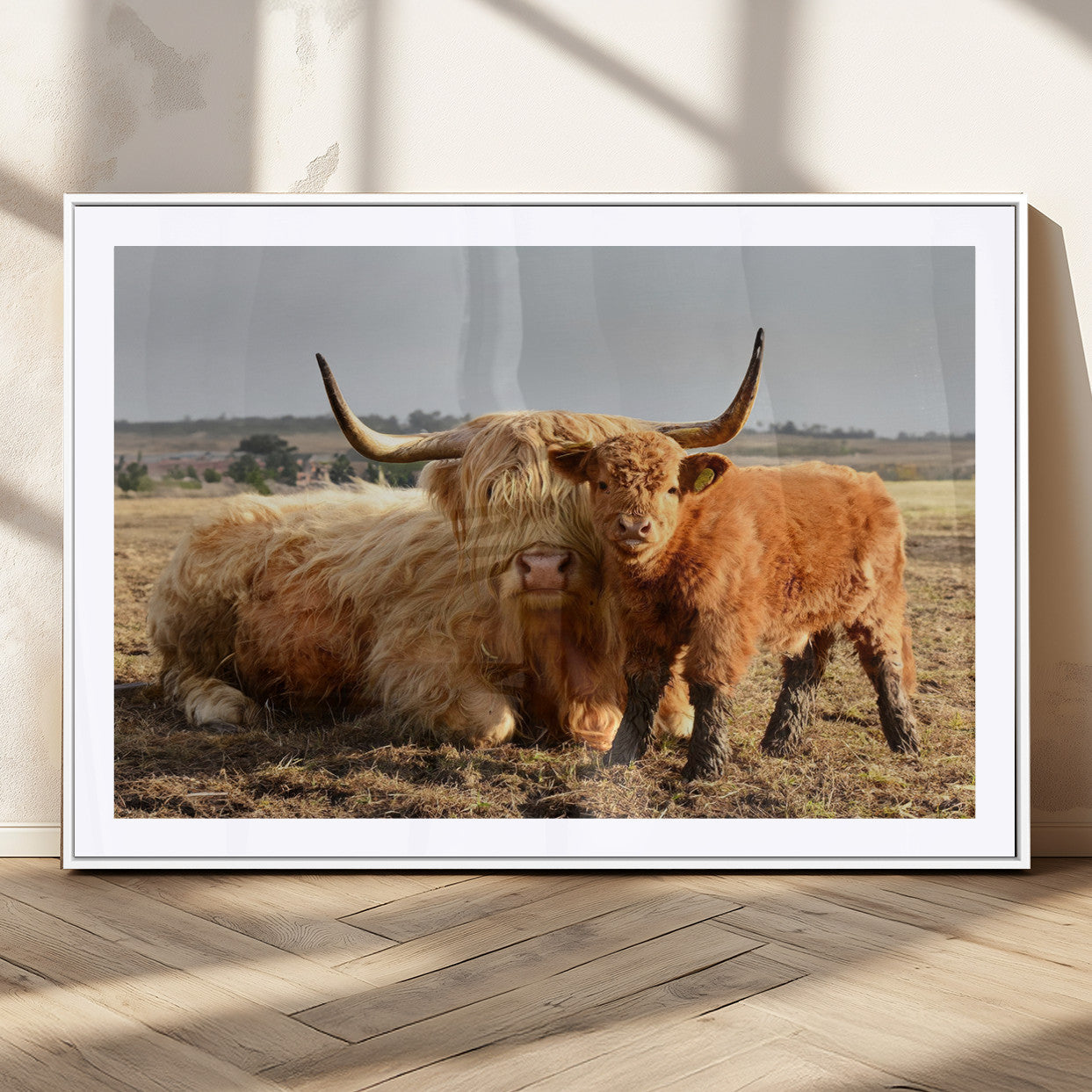 MGC-FP-36x24 - Highland Cow Canvas Wall Art Animal Print for Farm House Decor