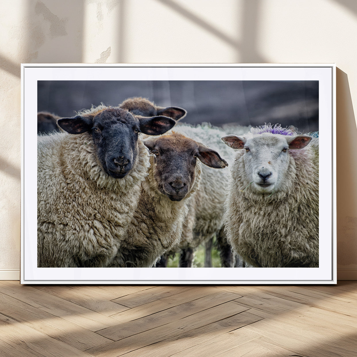 18418-MGC-FP-36x24_White-Charming Sheep Portrait Wall Art – Trio of Woolly Companions Canvas Print, Framed, Ready to Hang