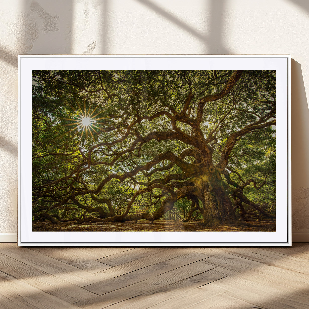MGC-FP-36x24 - Ancient Angel Oak Tree Art Sunburst Canvas Print- Nature-Inspired Triptych Canvas Print, Framed,