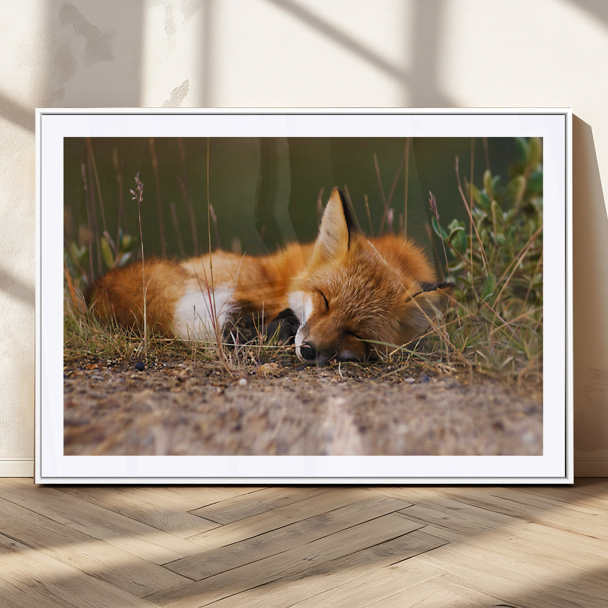 -Sleeping Fox Wall Art Canvas Print, Farmhouse Wall Decor and Animal Wall Art Print