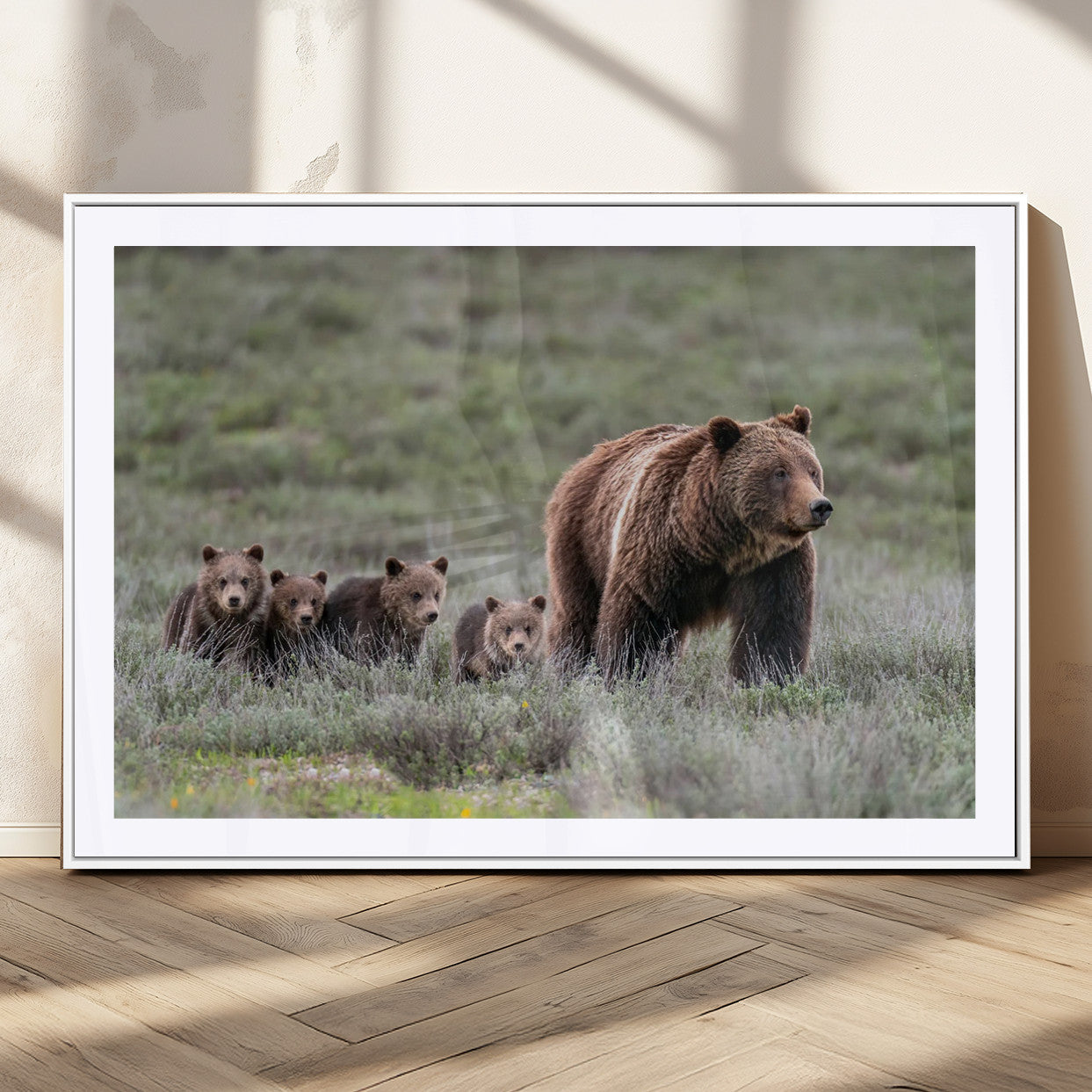MGC-FP-36x24 - Wildlife Photography of 399 Grizzly Bear Cubs | Queen of the Tetons Canvas Wall Art Print