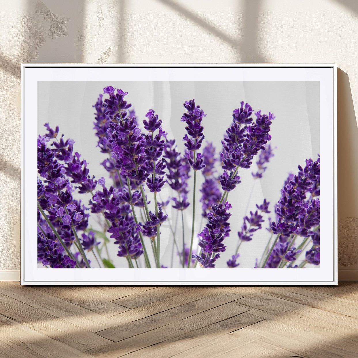 MGC-FP-36x24 - Lavender Flower Wall Art Canvas Print