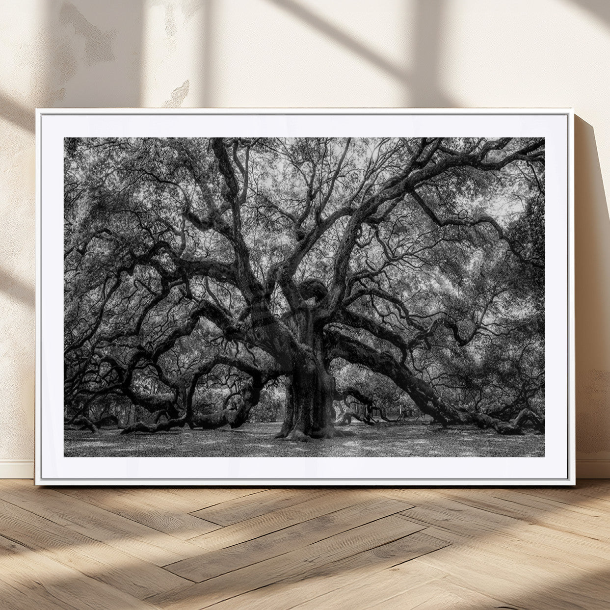 MGC-FP-36x24 - Black and White Old Angel Oak Tree Wall Art Canvas Print