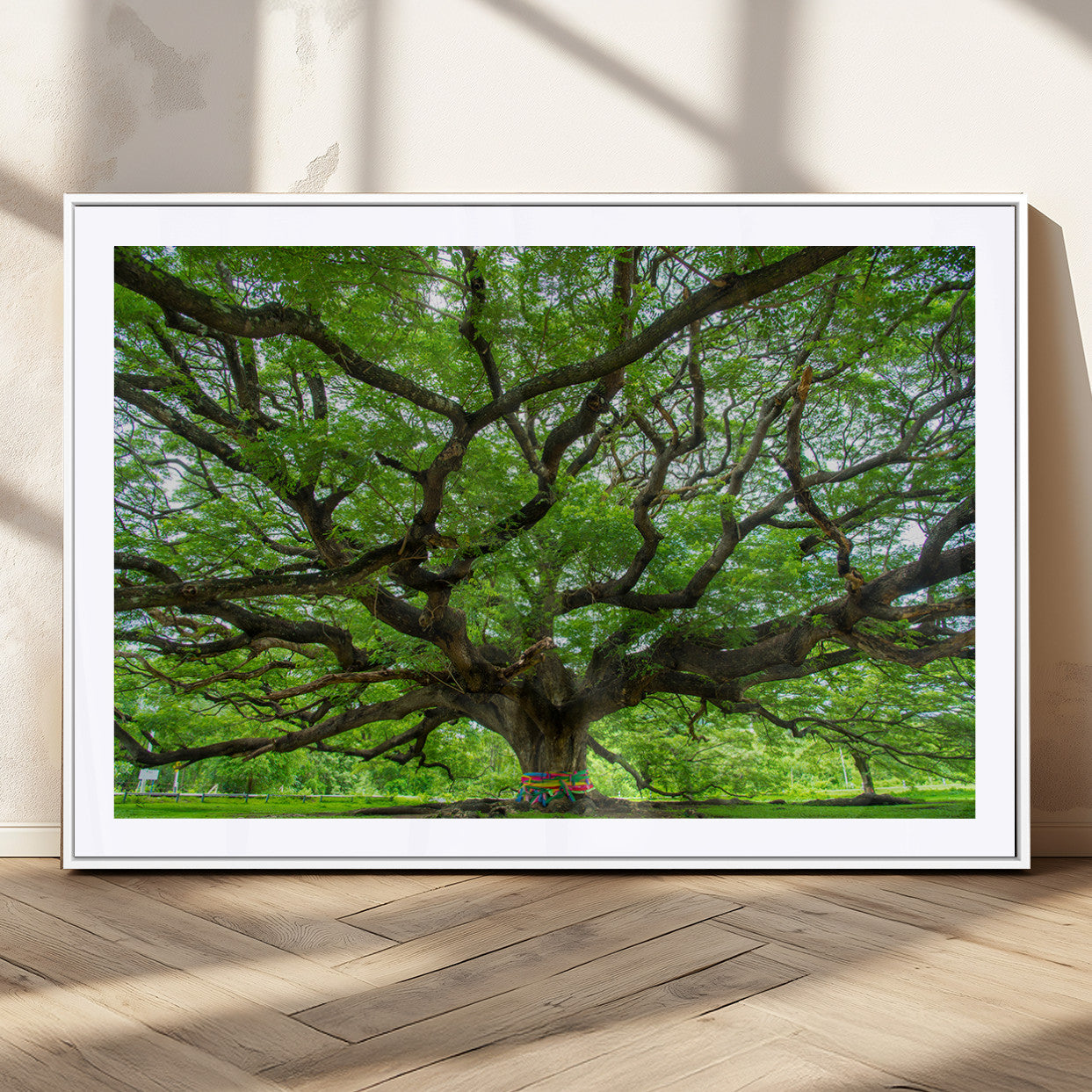 MGC-FP-36x24 - Oak Tree Wall Art Print, Forest Canvas Wall Art for Home and Office, Framed Angel Oak Tree Canvas