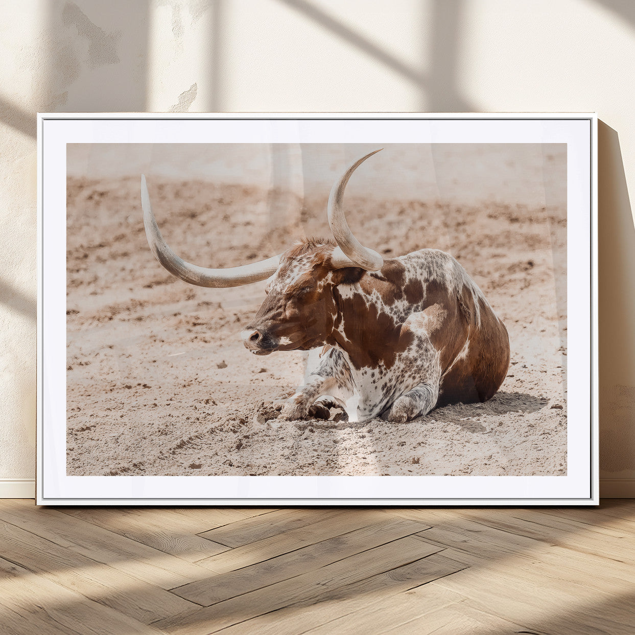 Texas Longhorn bull resting on dusty ground with warm tones, ideal for rustic western or farmhouse-themed wall decor.