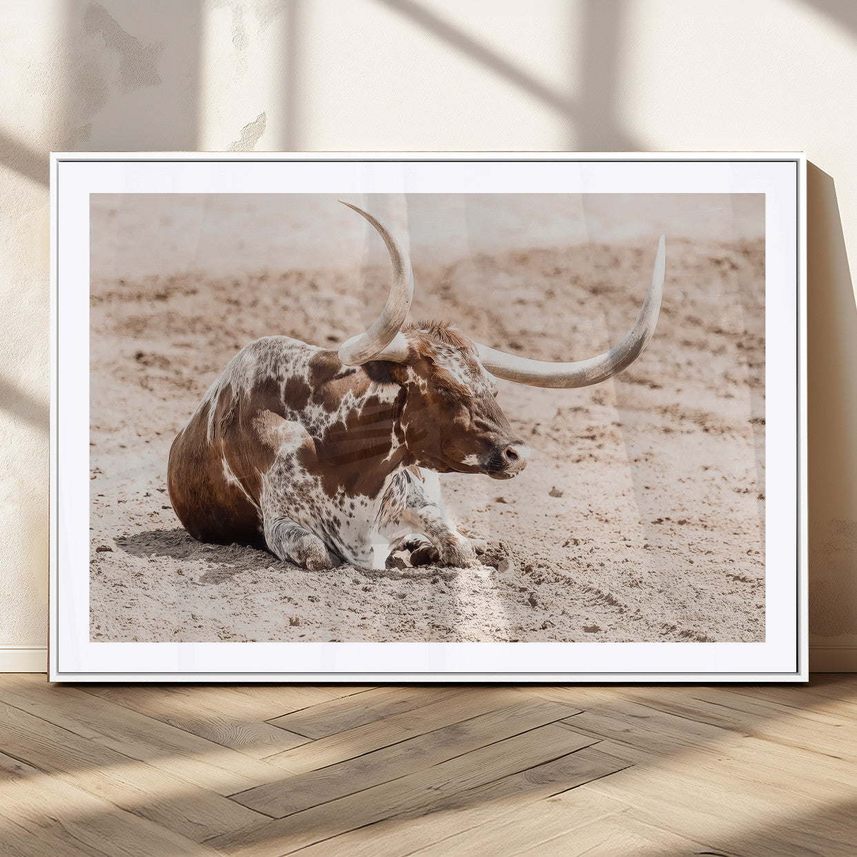 Texas Longhorn bull resting on dusty ground with warm tones, ideal for rustic western or farmhouse-themed wall decor.
