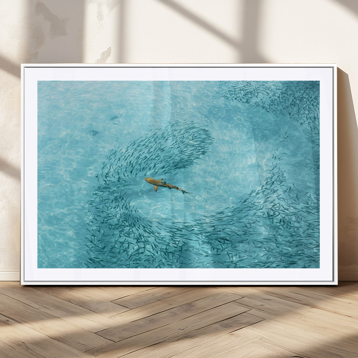 Aerial view of a shark swimming through a swirl of fish in clear turquoise waters, perfect for calm coastal or beach house decor.