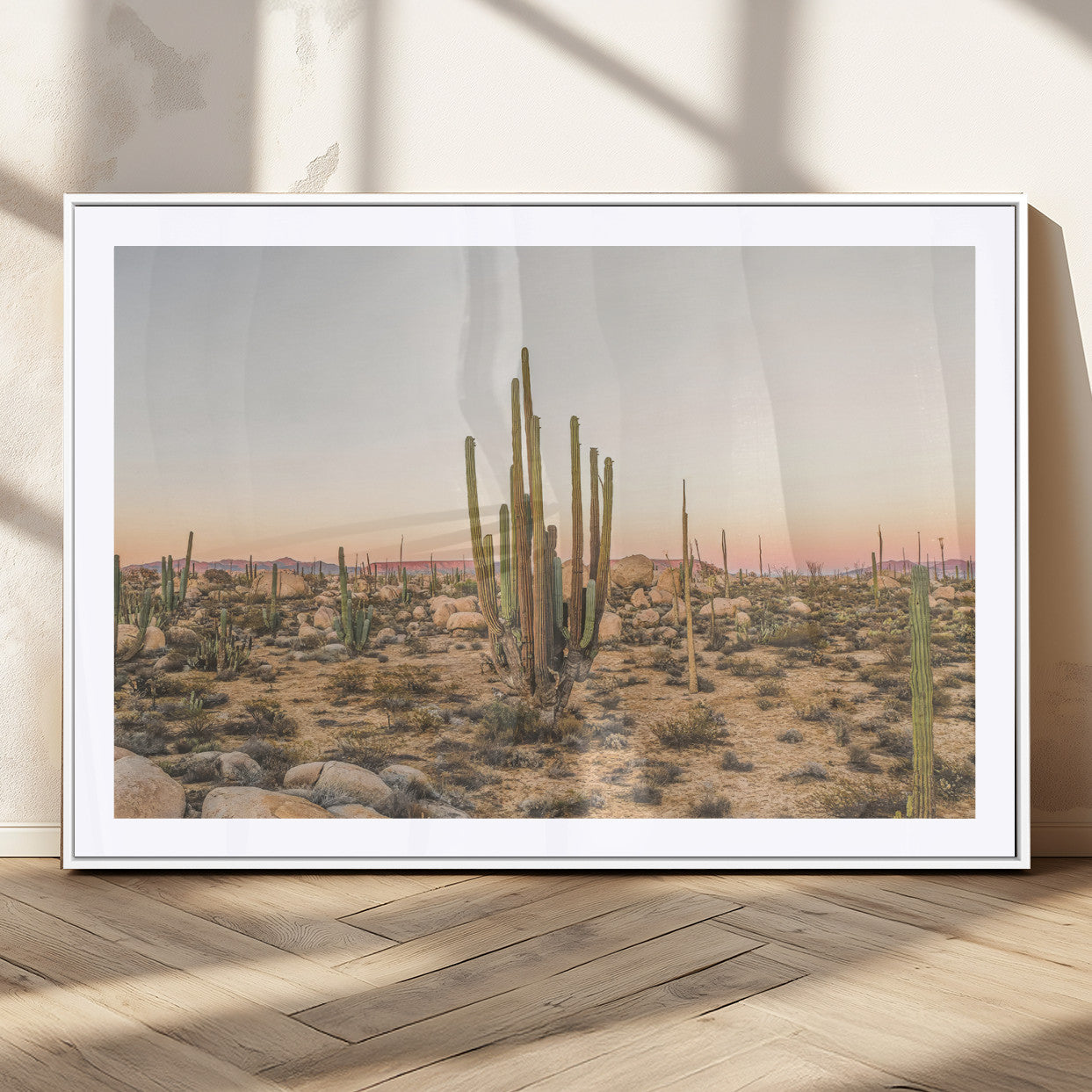 Canvas of tall desert cacti in warm sunset tones over a rocky Baja landscape, ideal for earthy or Southwestern-style home decor.