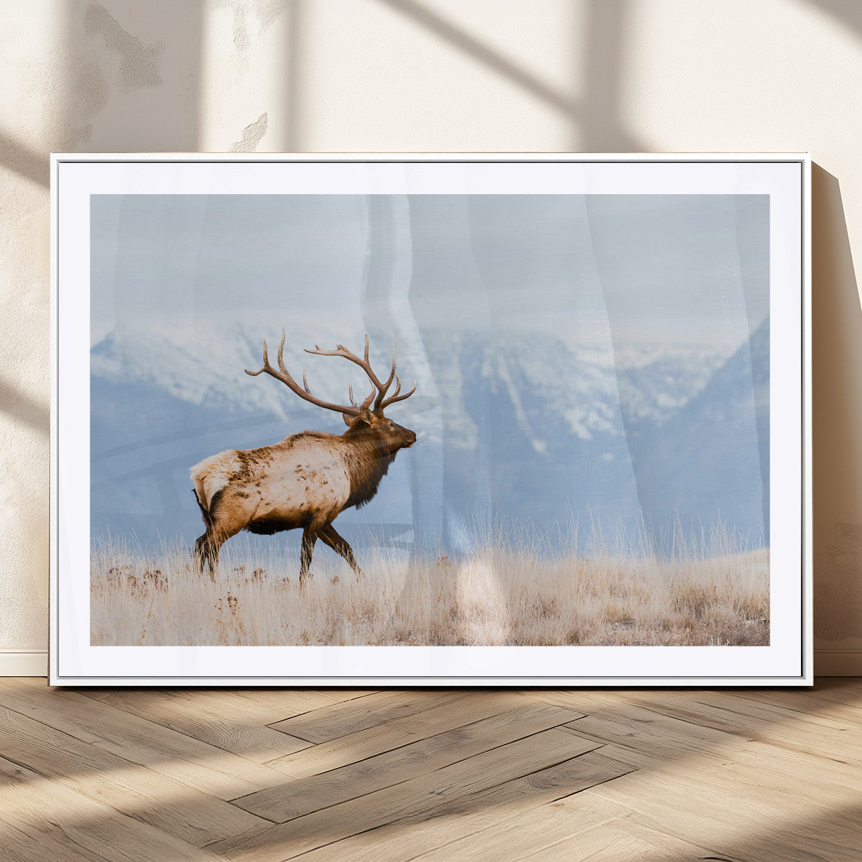 An elk walking on snowy grassland with majestic mountains in the background, ideal for rustic lodge or cabin wall decor.
