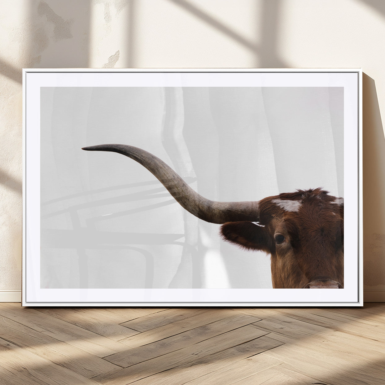 Close-up of Texas Longhorn horn and eye on white background, perfect for minimalist or modern farmhouse style wall decor.