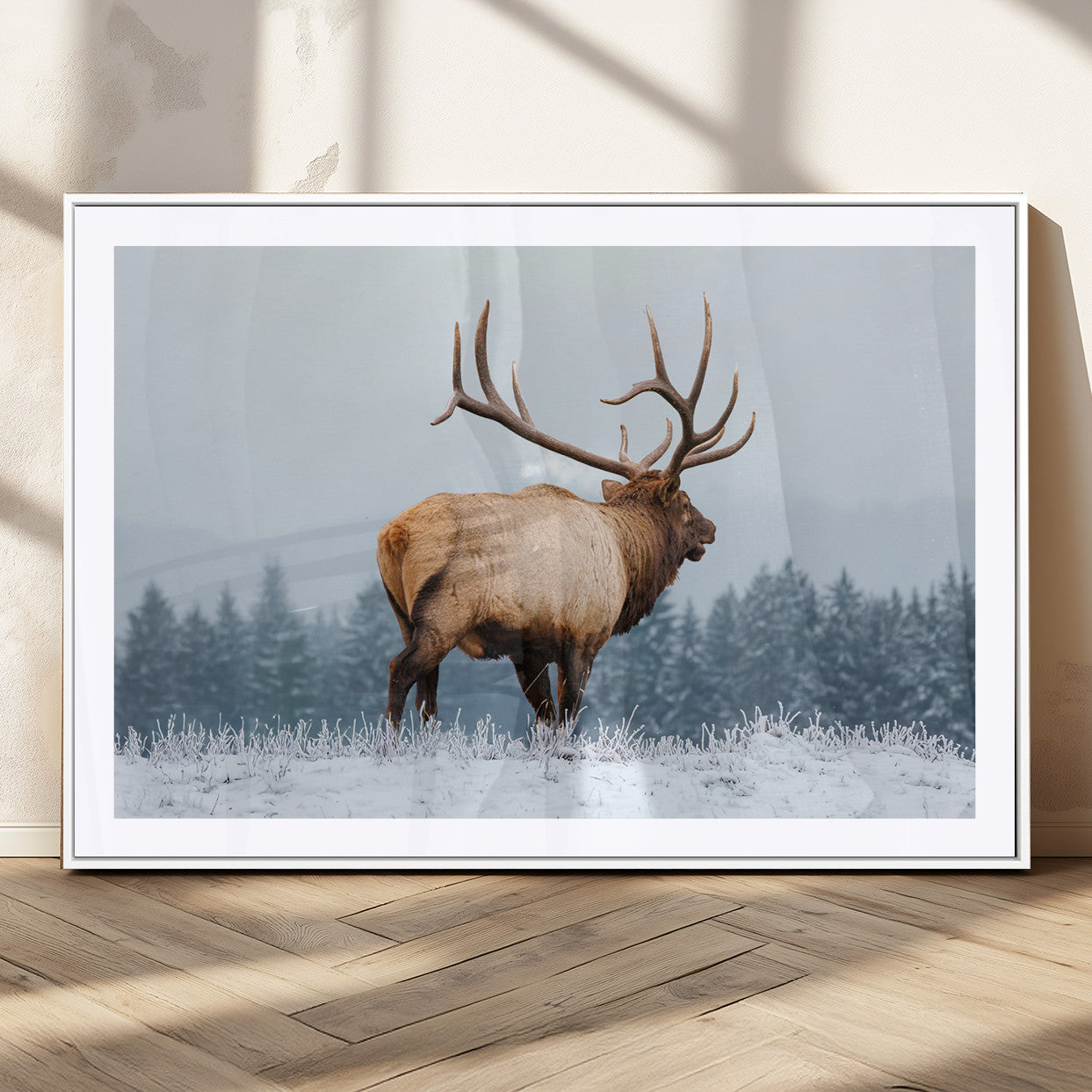 Large elk standing in a snowy field with pine trees in the background, ideal for rustic cabin or lodge-style wall decor.