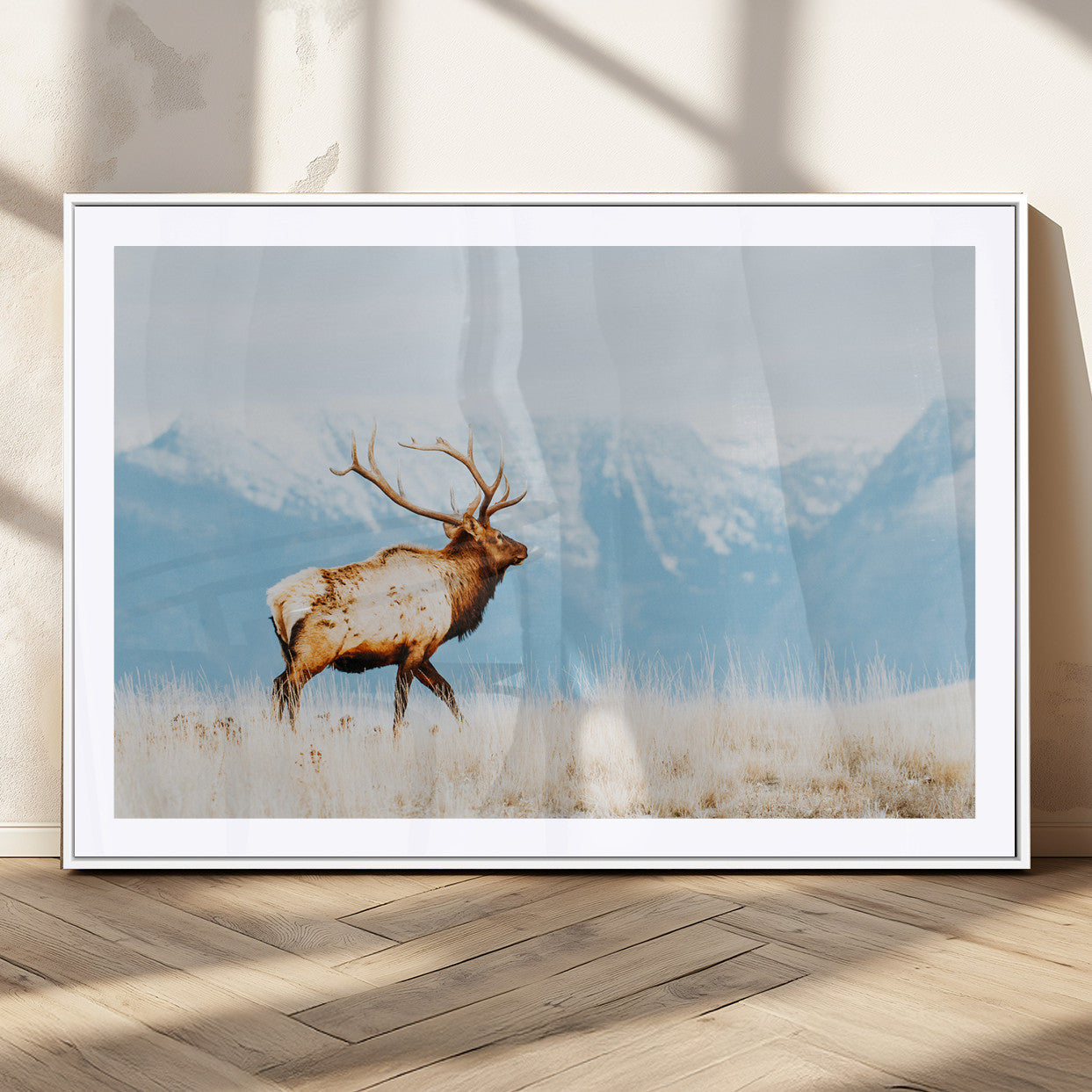 Majestic elk standing on dry grassland with snowy mountains in the background, ideal for rustic or lodge-inspired wall decor.