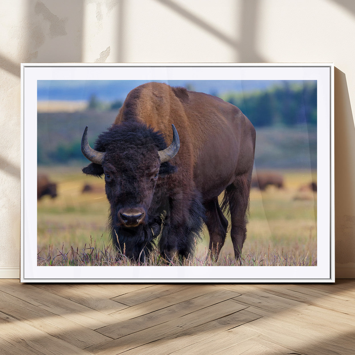 Close-up of a strong American bison standing in a grassy prairie with a blurred herd in background, perfect for rustic lodge decor.