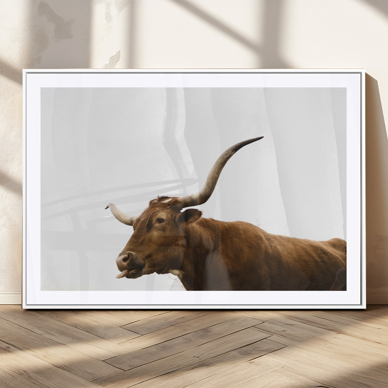 Minimal photo of a longhorn cow with white background, ideal for rustic, western or farmhouse-style interior decor.