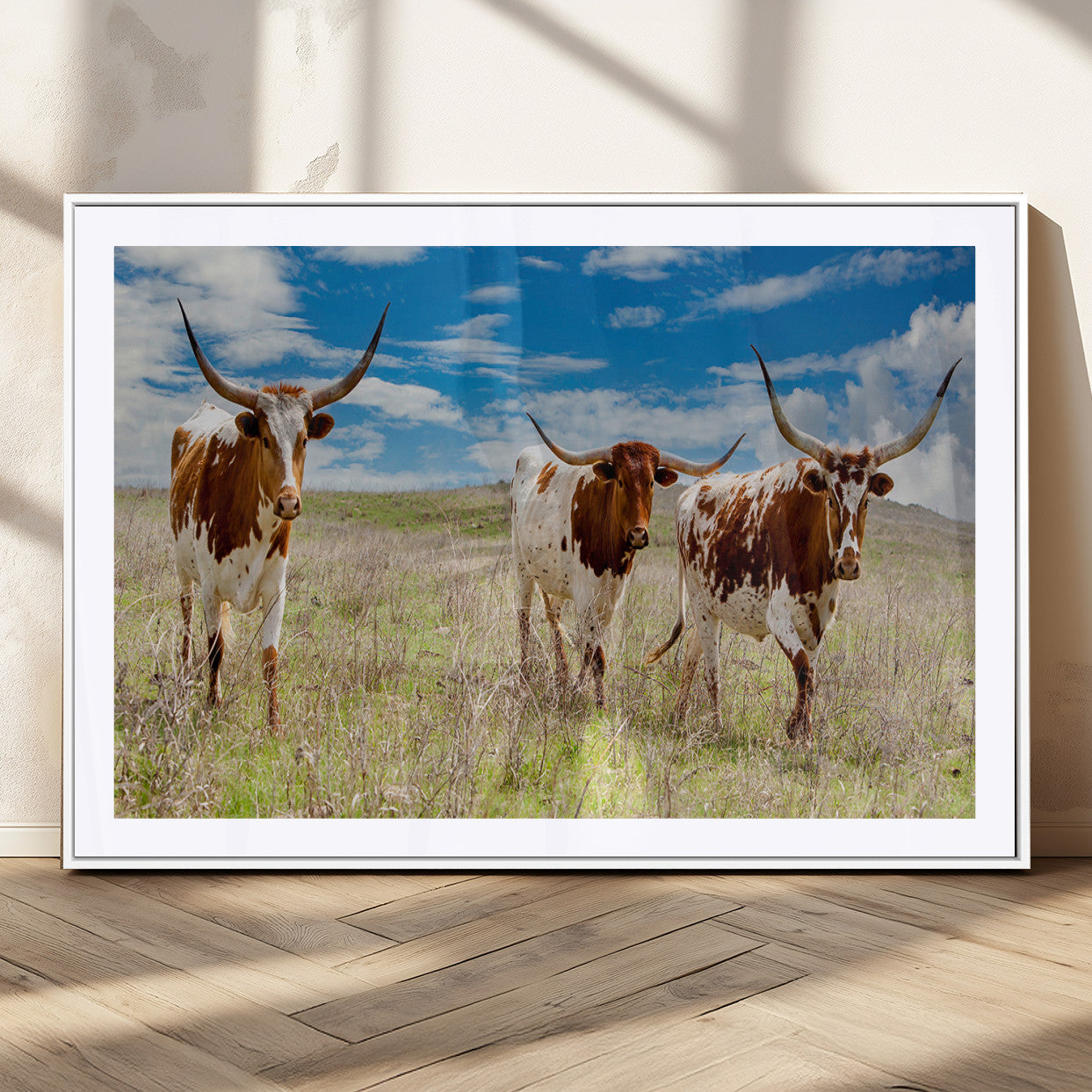 Three Texas longhorn cattle standing in dry grass under a bright blue sky, ideal for farmhouse or western rustic home decor.