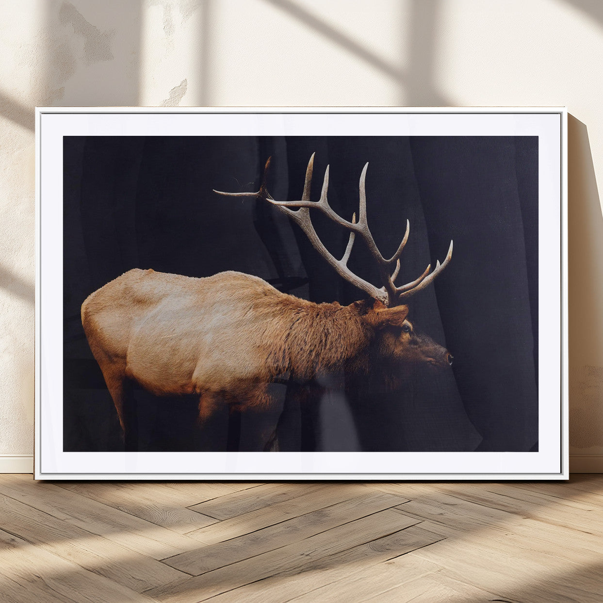 Side view of a majestic elk with large antlers against dark background, perfect for rustic lodge or cabin style home decoration.