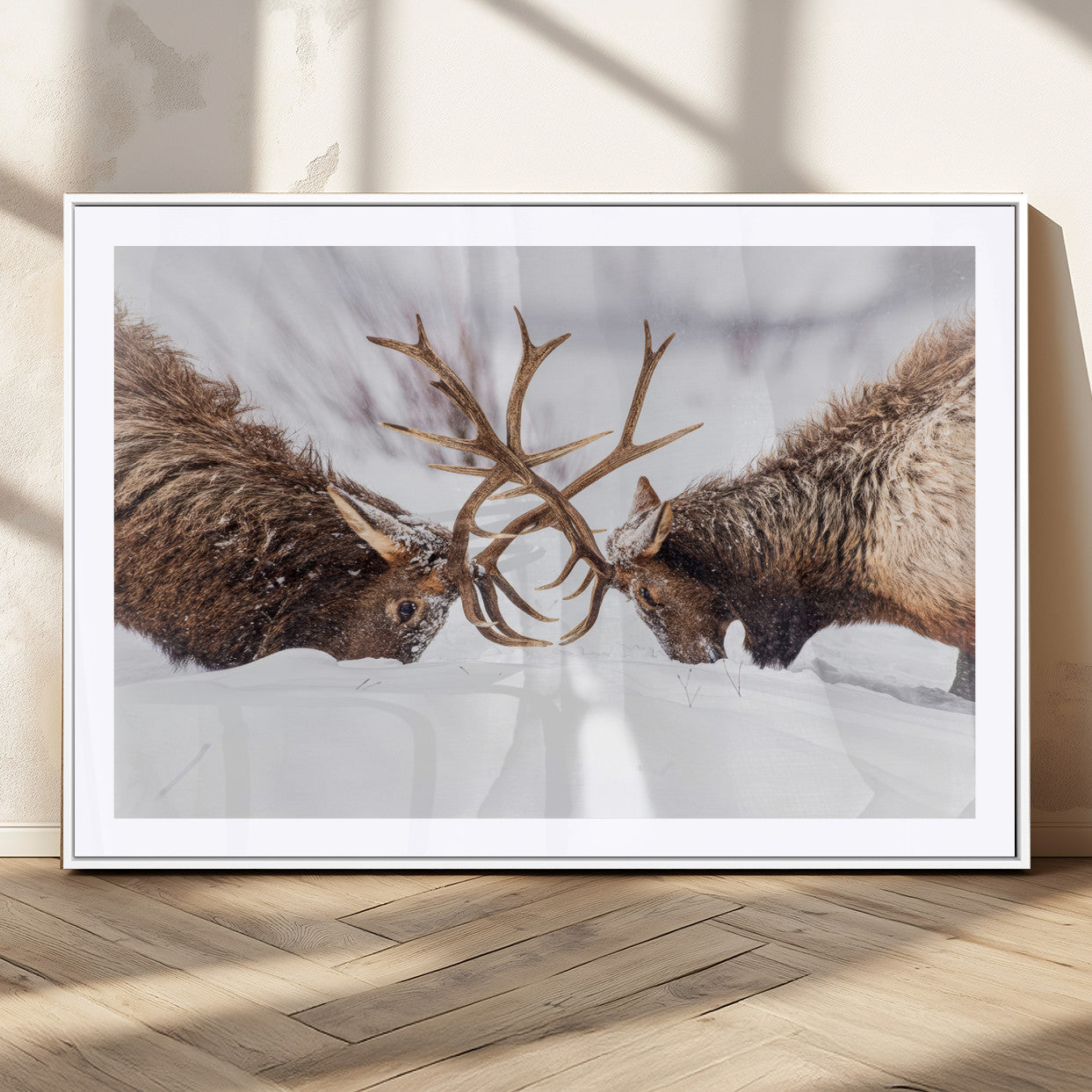Two elk clashing antlers in a snowy forest, capturing raw power and wild energy, ideal for rustic cabin or lodge-style decor.