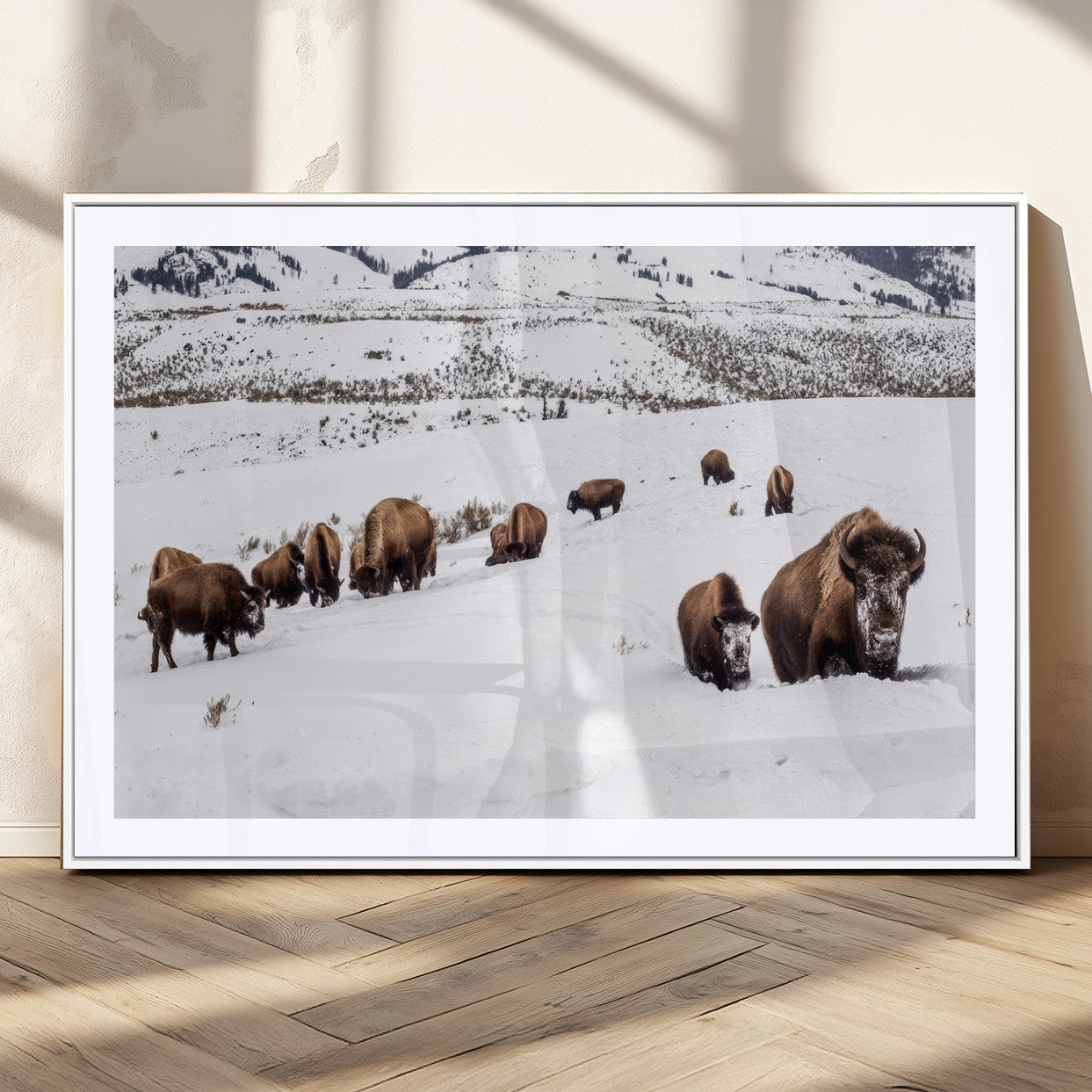 A herd of bison walking through deep snow in a mountain valley, perfect for rustic, cabin or western-themed wall decor.