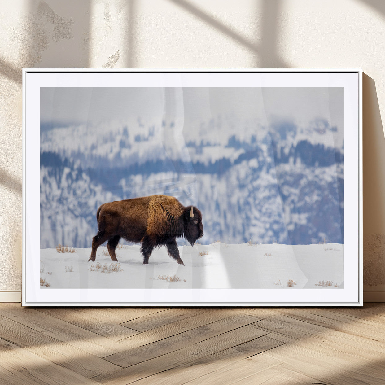 A lone bison walks across snowy ground with blue-toned mountain range behind, ideal for rustic or western farmhouse interiors.