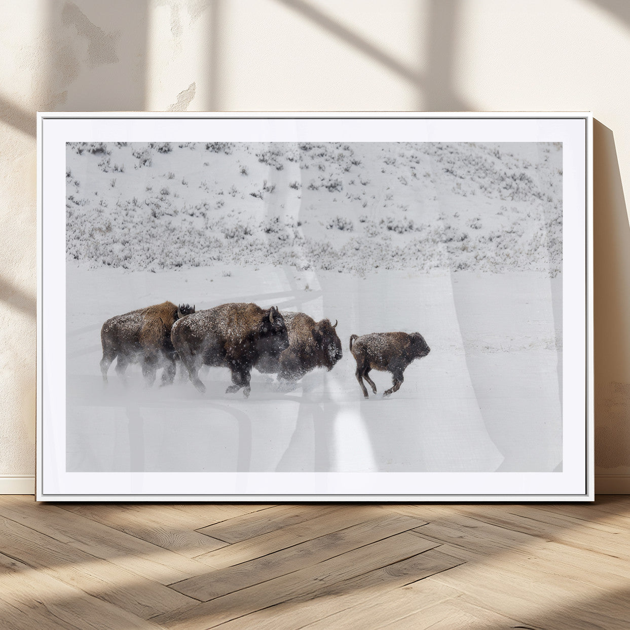 Bison herd running through a snowy open field with mountain backdrop, perfect for rustic or western-themed wall decoration.