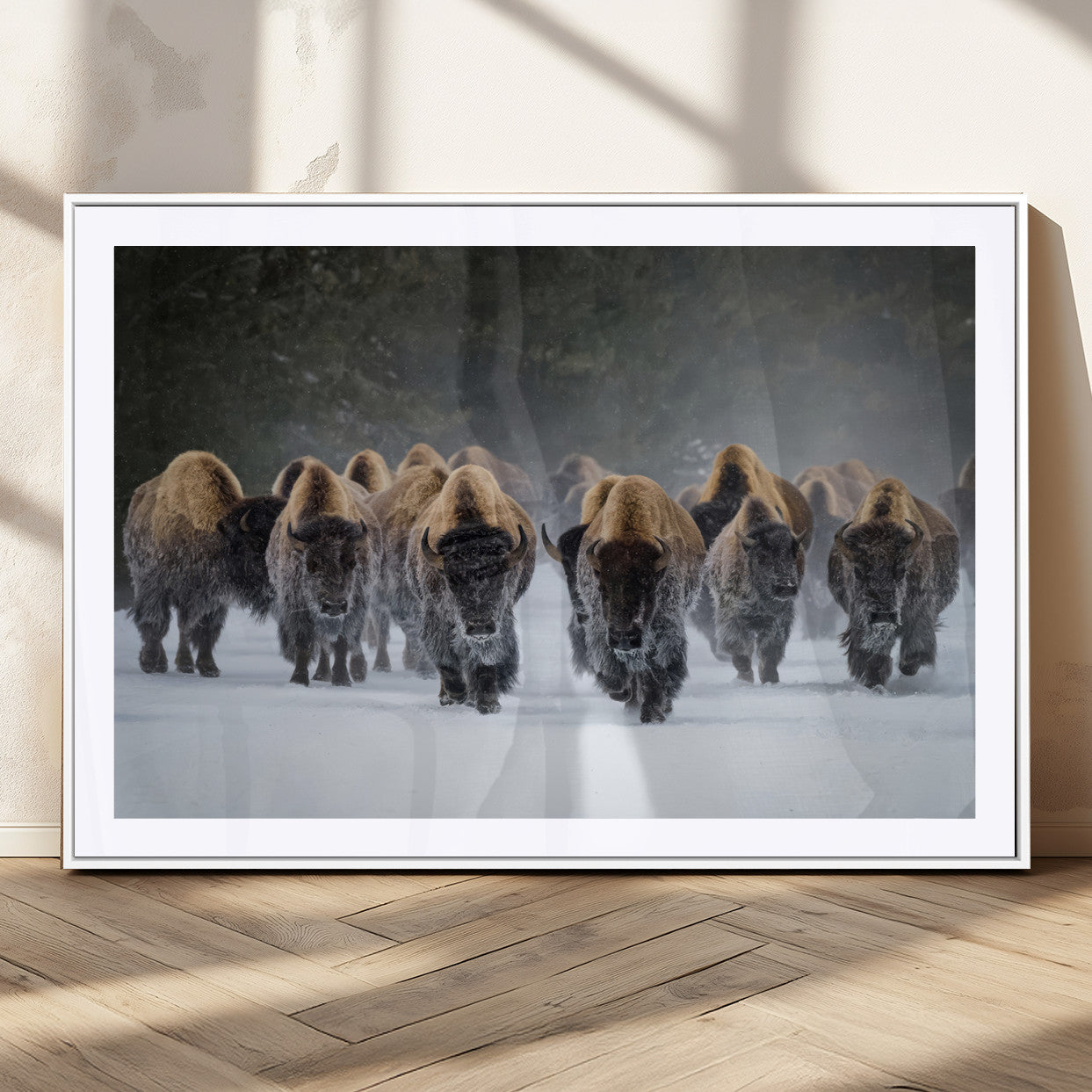 A herd of American bisons walking through deep snow in a forest, evoking a powerful rustic wilderness mood for western-style interiors.