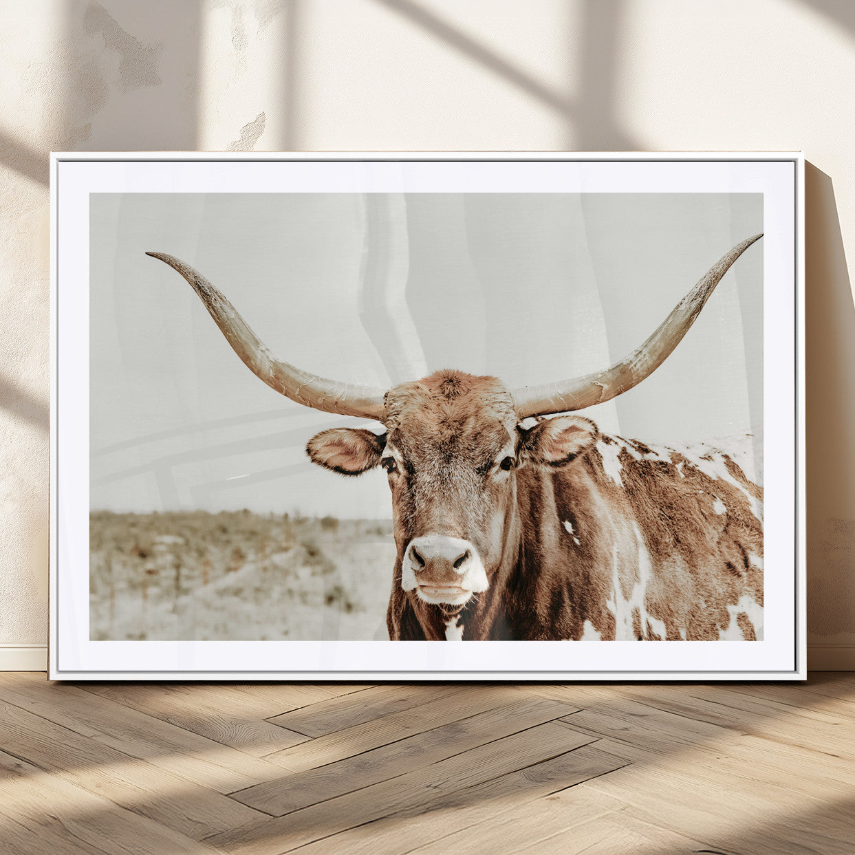 A Texas longhorn bull with wide horns, standing in a dry field under soft light, ideal for rustic farmhouse or western-themed interiors.