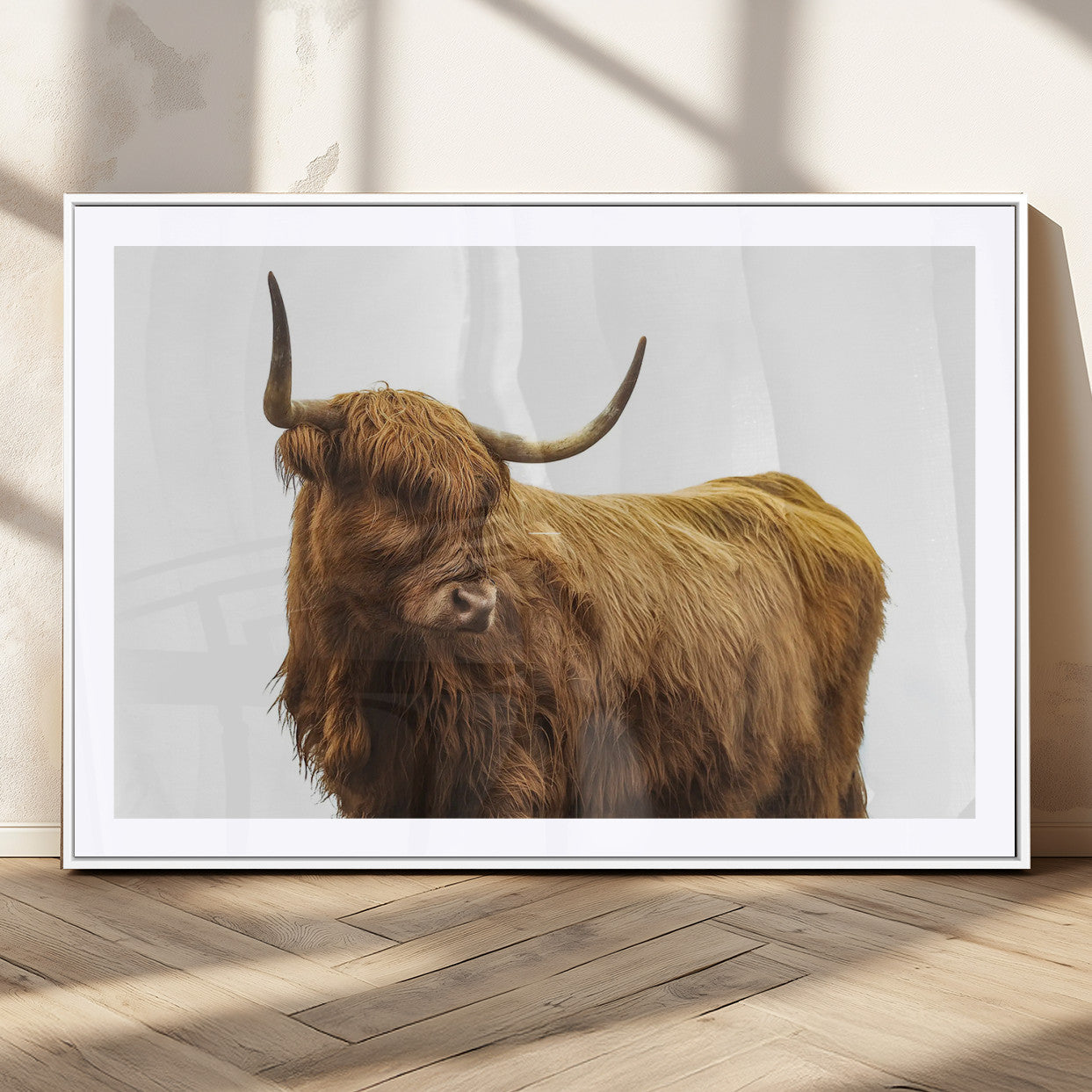 A highland cow with long horns and shaggy fur standing calmly, isolated on white background, ideal for rustic or farmhouse wall decor.